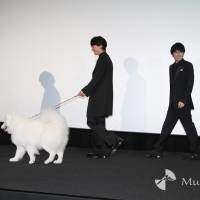 浅香航大『犬部！』初日舞台挨拶