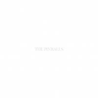 THE PINBALLS、バンド活動休止を発表