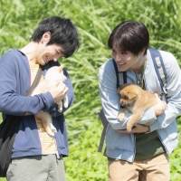 『犬部！』本編映像８分