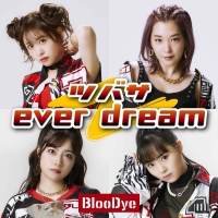 BlooDye、Zeppツアーを最後に活動休止・現メンバーでの活動終了を発表