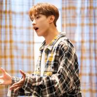 SEVENTEEN、オリジナルコンテンツを配信