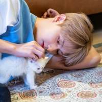 SEVENTEEN、オリジナルコンテンツを配信