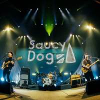 「Saucy Dog ワンマンライブ 全国ドッグラン!! “今度こそ、はじめてのホールツアー！”」