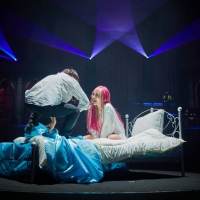 「THE PRINCESS PROJECT – FINAL – 」