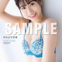 『内木志写真集 various』