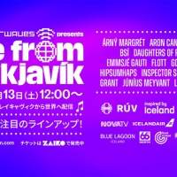 世界最北の音楽フェス「ICELAND AIRWAVES」ZAIKO日本独占配信