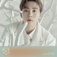 SEVENTEEN、日本オリジナル作品としては初のウィンターソング「あいのちから」ジャケ写公開