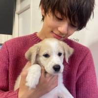 佐野勇斗、保護犬と10日間の共同生活「心を開いてもらいたい」