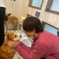 佐野勇斗『I LOVE みんなのどうぶつ園』