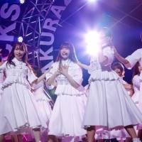 櫻坂46「BACKS LIVE!!」