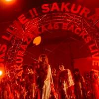 櫻坂46「BACKS LIVE!!」