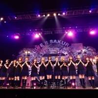 櫻坂46「BACKS LIVE!!」