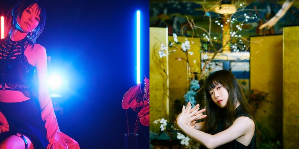 LiSA＆Aimer、テレビアニメ「鬼滅の刃」OP・EDテーマ収録したアナログ盤リリース決定