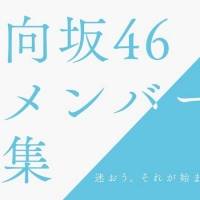 日向坂46、新メンバーオーディション開催決定