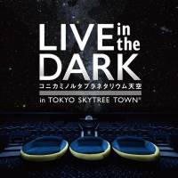 竹渕慶、プラネタリウムライブを開催