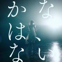 櫻坂46、テーマは「咲かない人は、いない。」新メンバーオーディション開催決定