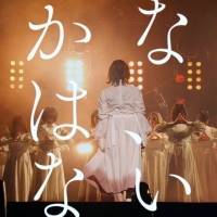 櫻坂46、テーマは「咲かない人は、いない。」新メンバーオーディション開催決定