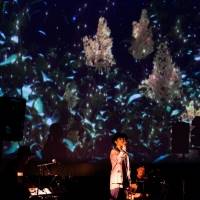 堂珍嘉邦『LIVE in the DARK』レポート