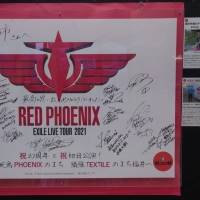福井駅前ハピリンで『FUKUI PHOENIX FESTIVAL feat. RED PHOENIX』開催