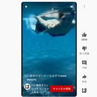 川口春奈のザンネンな泳ぎ方が反響「泳げないのがギャップ萌え」
