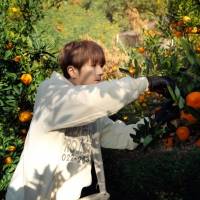 Nissy「ANAあきんど×Nissy地域創生プロジェクト」実施を発表