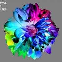 HOWL BE QUIET、解散を発表　竹縄航太「やり切った」