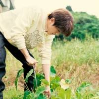 Nissy×ANAあきんど地域創生プロジェクト第２弾を発表