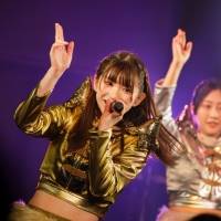 「豆柴の大群のりりりスタート」