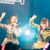 「豆柴の大群のりりりスタート」
