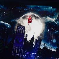 NANA MIZUKI LIVE HEROES 2023』