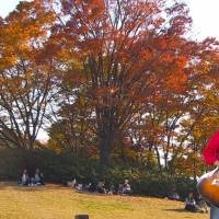 特集番組「四季のうた」「四季のうた Part2」放送決定
