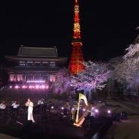 特集番組「四季のうた」「四季のうた Part2」放送決定