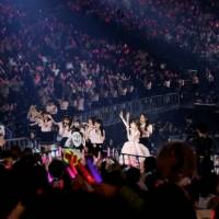 「乃木坂46 11th YEAR BIRTHDAY LIVE」