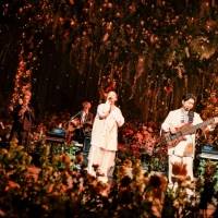 ドリカム『NHK MUSIC SPECIAL』に登場