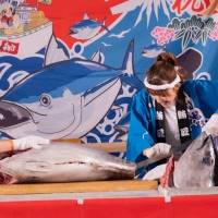アンジュルム川村文乃、豪快な包丁さばきでマグロを解体