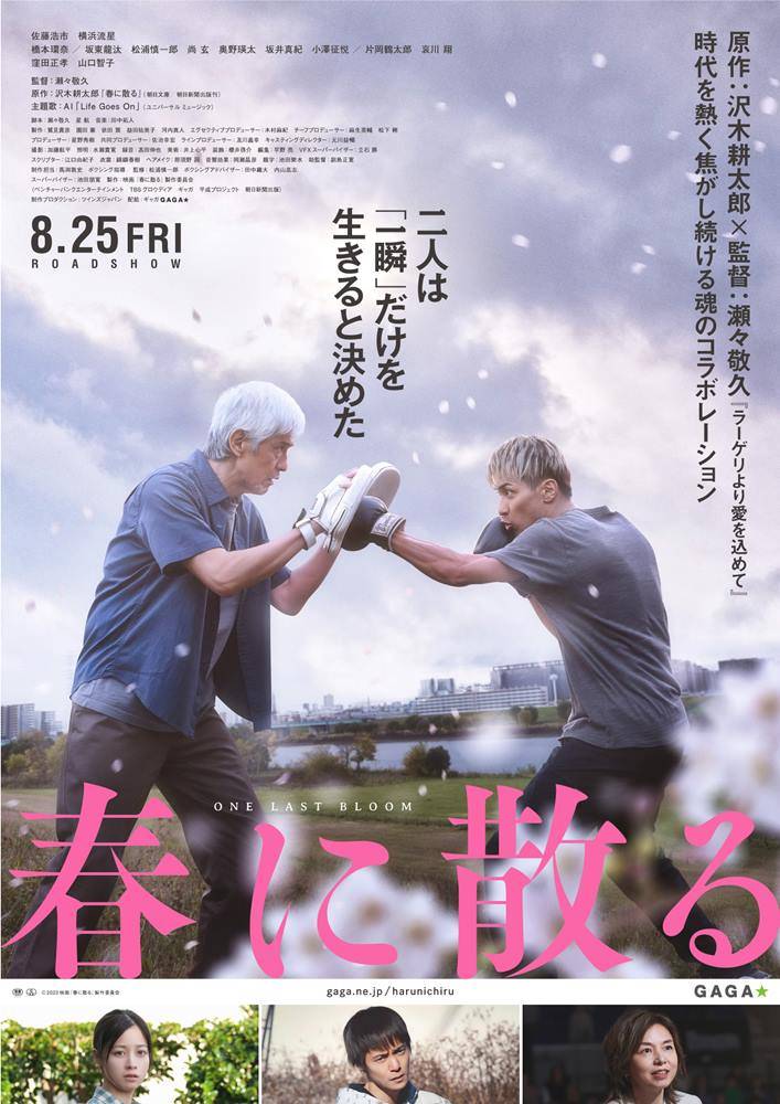 横浜流星、佐藤浩市とミット打ちも　再起をかけるボクサー役　『春に散る』予告映像