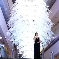 今田美桜「表参道ヒルズ クリスマスイルミネーション 2023 点灯式」