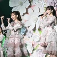 AKB48柏木由紀が卒コン
