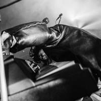 King Gnu Dome Tour「THE GREATEST UNKNOWN」