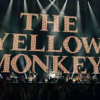 『THE YELLOW MONKEY SUPER BIG EGG 2024“SHINE ON”』