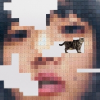 あいみょん、5thアルバム「猫にジェラシー」発売決定