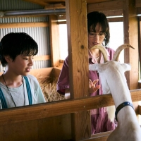 綾瀬はるか『ルート29』メイキング写真