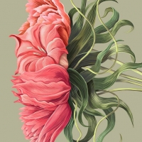 AMEFURASSHI、4th Album『Flora』豪華盤リリース決定
