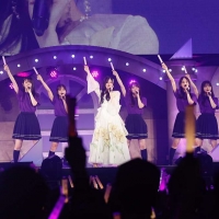 「乃木坂46 大感謝祭2024」
