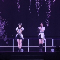 「Hello! Project ひなフェス 2025」