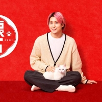 Snow Man佐久間大介「懐石」新アンバサダーに就任　“猫愛”全開な新ウェブCM公開