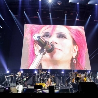 hide with Spread Beaver“REPSYCLE”
