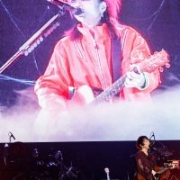 hide with Spread Beaver“REPSYCLE”