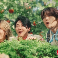 Mrs. GREEN APPLE 「不思議なカレーパーティー」夏・秋篇