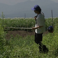 北海道道「十勝でロックを切り拓く～ZION～」